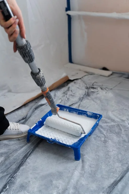 pintura domiciliar